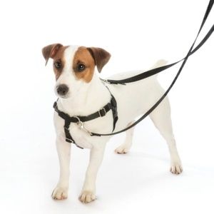 Dog Harness – 2 Hounds Design